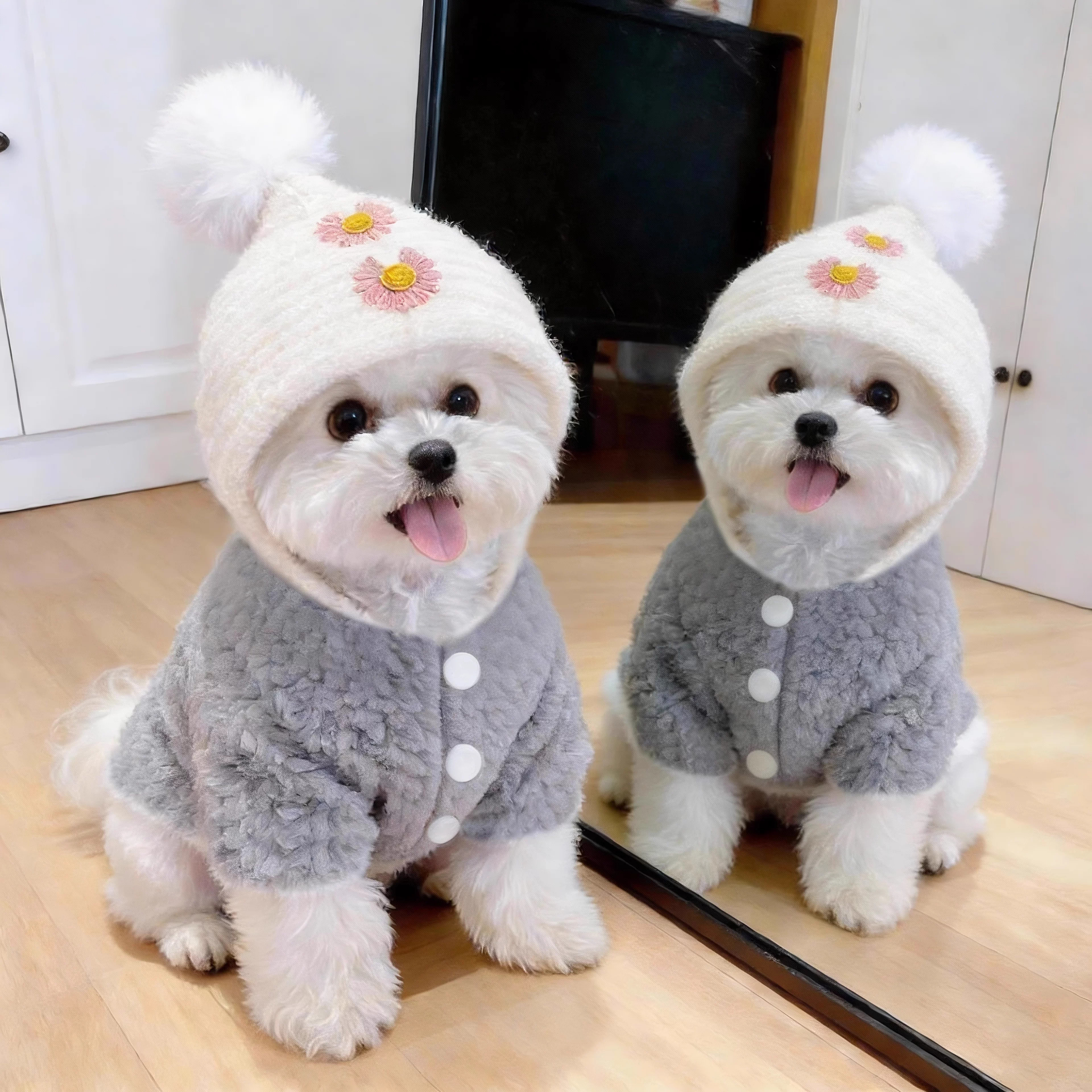 狗狗衣服秋冬款毛绒帽子衣泰迪