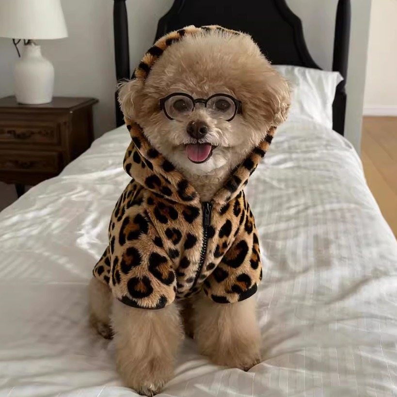 狗狗衣服秋冬保暖可爱连帽外套