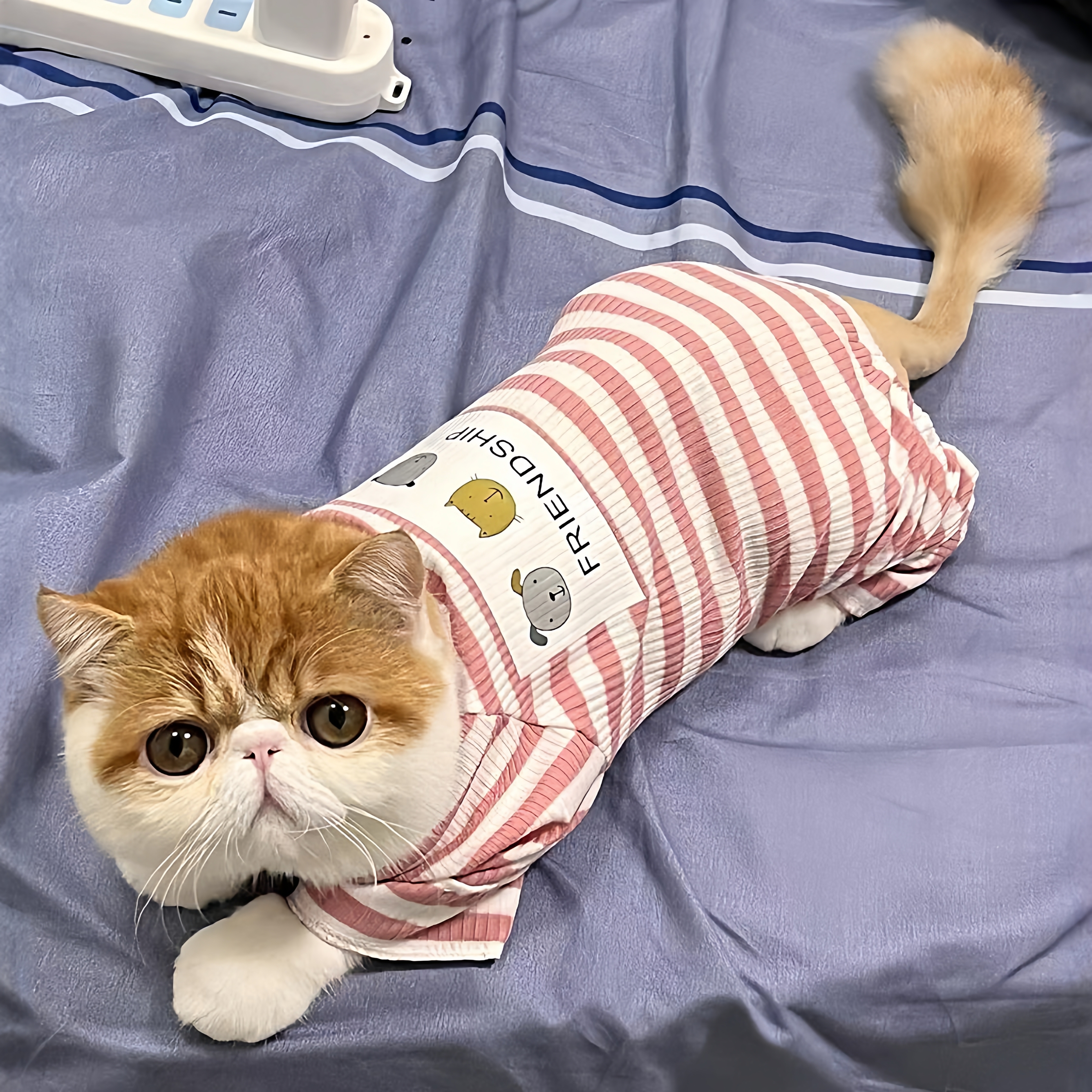 猫咪衣服四脚睡衣秋冬款加菲猫