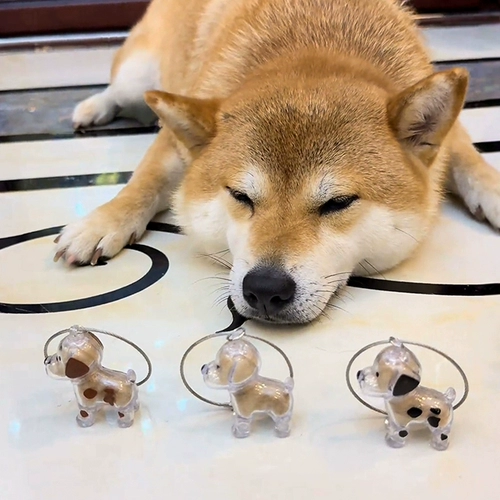 Система хранения, памятная подвеска, капсула, брелок