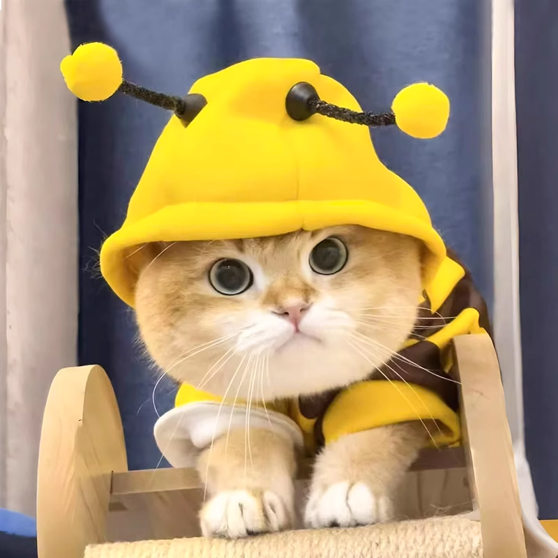 秋冬季猫咪衣服保暖卫衣