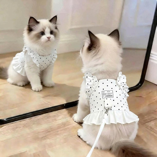 猫咪牵引绳波点花边胸背裙防挣脱