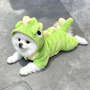 狗狗衣服秋冬款小恐龙变身装可爱保暖搞笑四脚衣冬天加绒猫咪衣服