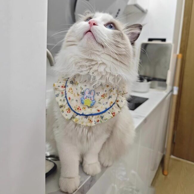 猫咪围兜可爱蓝色碎花狗狗口水巾