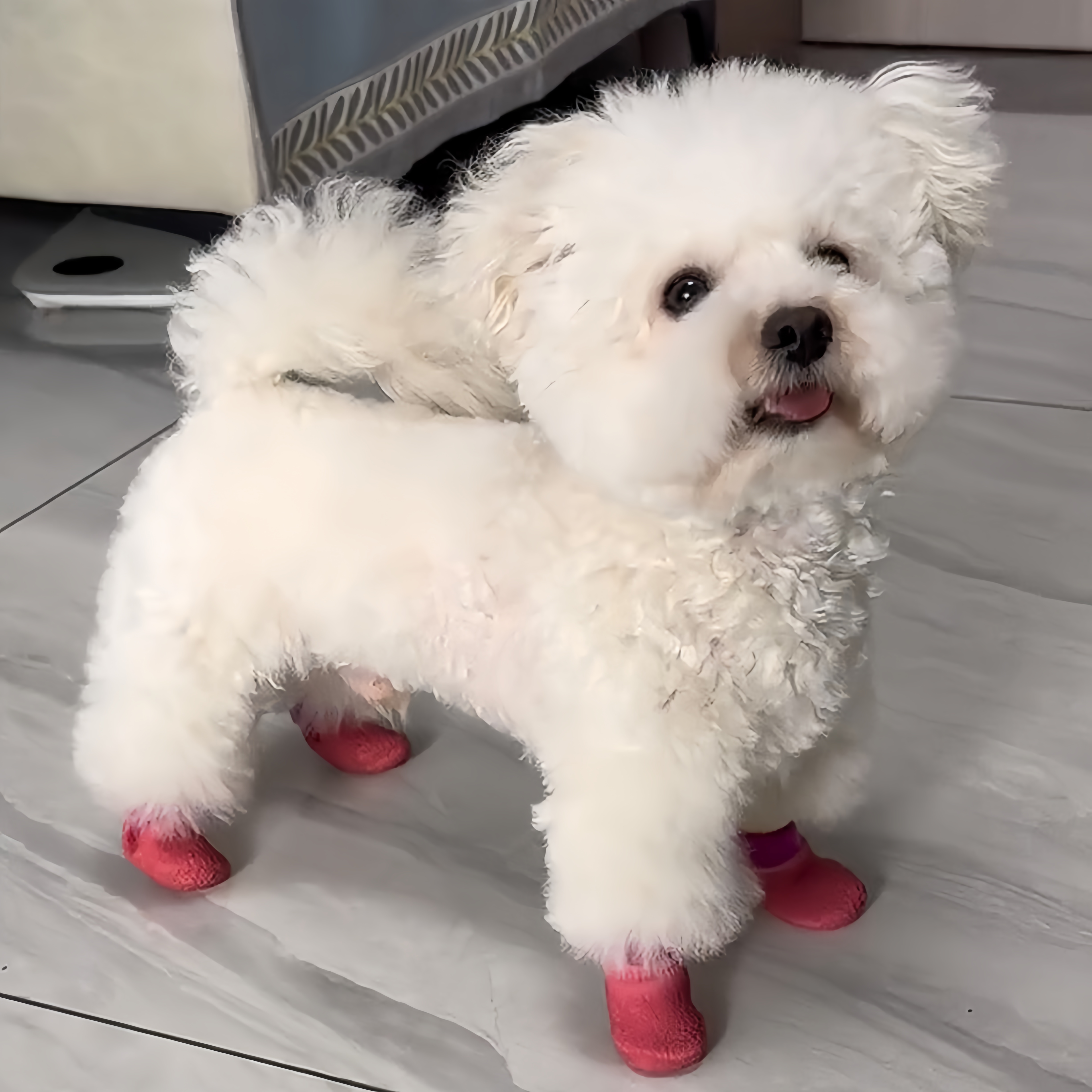 狗狗脚套防滑防水袜软底耐磨狗鞋