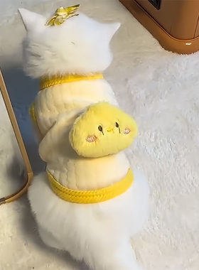 幼猫幼犬衣服0到3个月宠物衣服