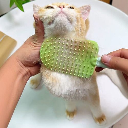 宠物雪糕双面硅胶去浮毛梳子猫咪