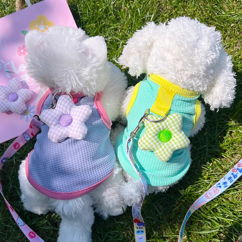 猫咪衣服夏季新款可爱小花兔子衣服幼犬可牵引背心防掉毛宠物服饰