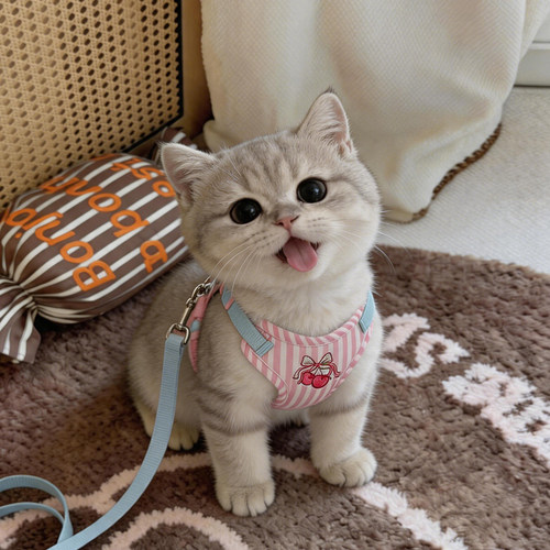 猫咪牵引绳甜美樱桃胸背带防挣脱