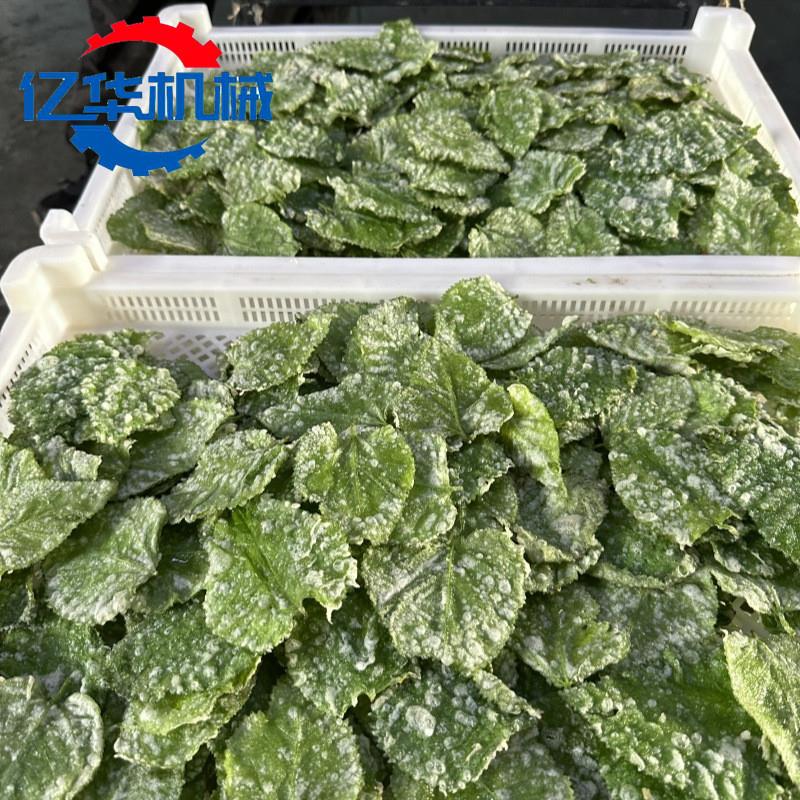 桑叶油炸机 翠叶裹浆油炸流水线 紫苏叶挂浆油炸设备实体厂家