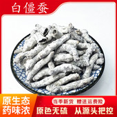 玻璃心天虫 可磨白僵蚕粉 中药材 白僵蚕500克 包邮 正品 2件 白蚕