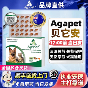 新西兰贝它安Agapet益安适得软骨素绿贻贝油狗猫宠物关节髌骨腰椎