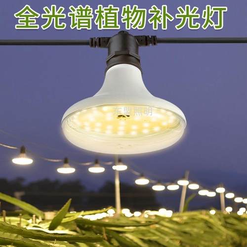 110V220VLED植物生长灯仿太阳光花卉绿植补光灯苔藓多肉火龙果菊