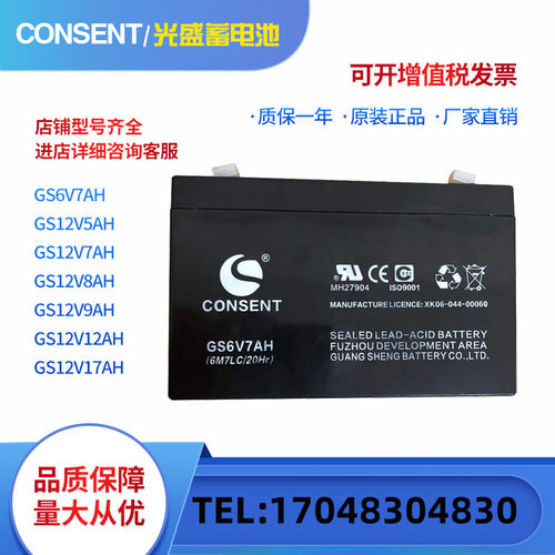 CONSENT光盛蓄电池12V7AH17AH24AH38AH65AH100AH消防机柜UPS/EPS
