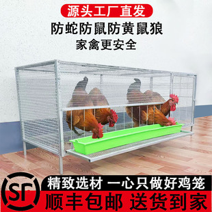 鸡笼家用室内外大号加厚方管农村户外专用防鼠鸡鸭鹅兔养殖家禽笼