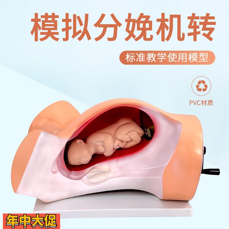 高级分娩机转示教模型妇幼产科胎儿接生助产演示过程难产护理模具