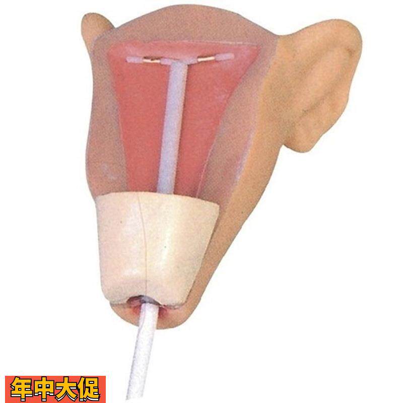 高级宫内避孕训练模型妇科计划生育教学模型计生避孕模型