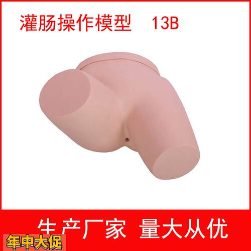 厂家直销灌肠操作模型灌肠练习模型护士灌肠实习模型