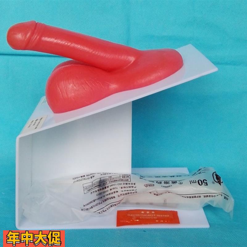 男性生殖器演示模型男性生殖系统计生教学医用讲解展示