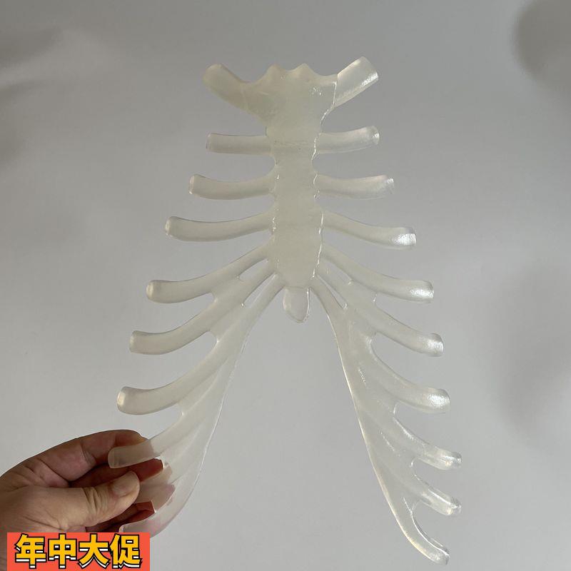 康泰教学模型胸骨柄人体1比1仿真塑胶胸腔骨骼美术装饰服装道具
