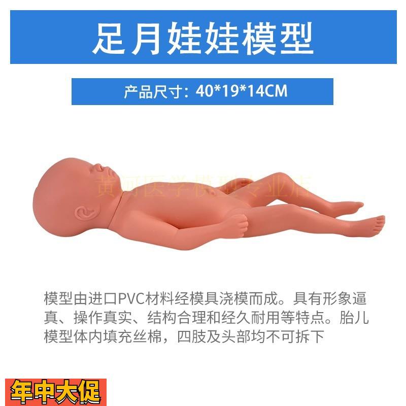 高级足月胎儿模型新生婴儿护理模型人初生婴儿塑胶娃娃模型