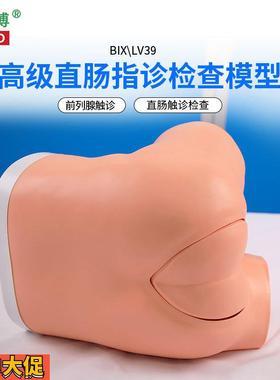 医博BIX-LV39高级直肠指诊检查模型前列腺肛门息肉检查模型
