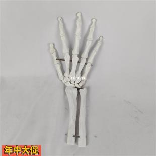 人体手关节模型尺骨桡骨手部骨骼骨架手骨手指手部标本模型素描用