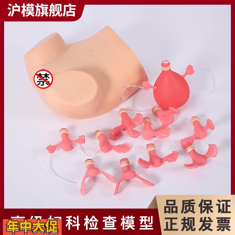 沪模HM/F3妇科检查模型宫颈计划生育妇产科训练模具子宫放环取环