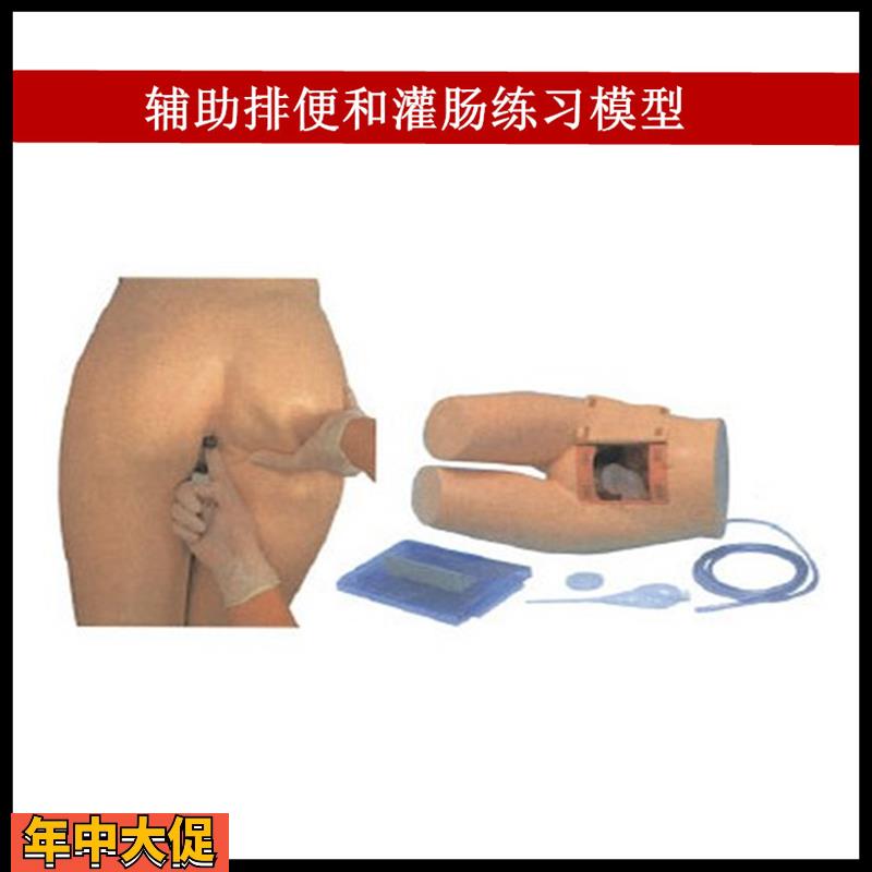 辅助排便和灌肠练习模型医院培训护士训练模型肛门检查模型