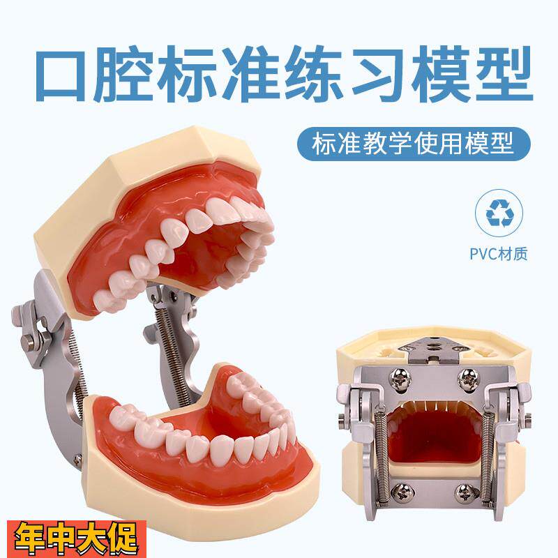 标准牙颌模型口腔科备牙排龈练习牙齿可替换日进牙颌配FE咬合架