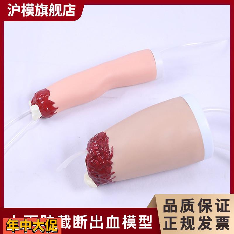 沪模上下肢外伤断肢止血模型控制出血手臂大腿四肢创伤模型HM/D40
