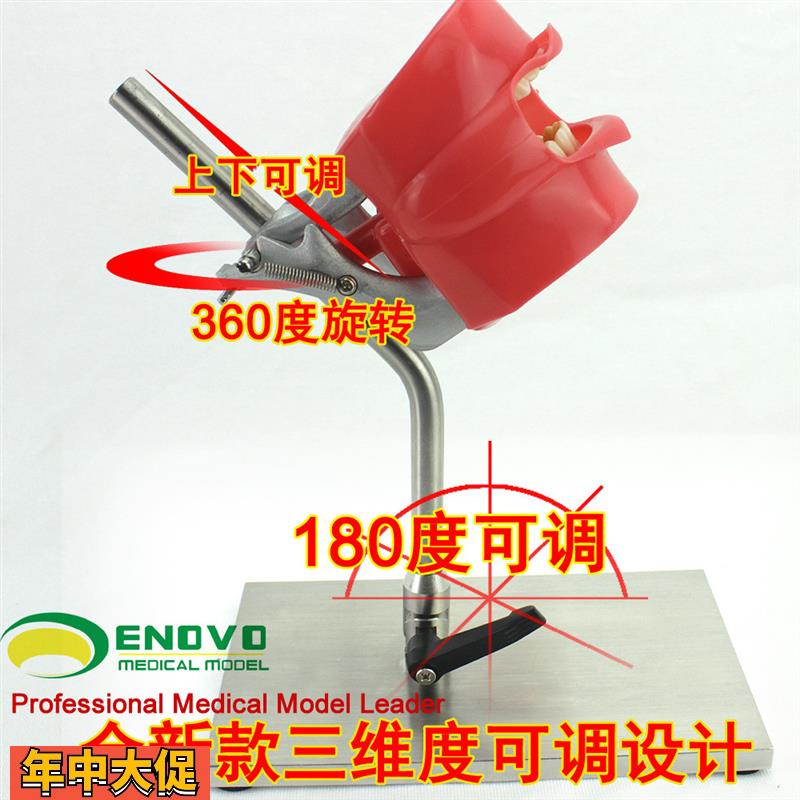 ENOVO正品口腔仿生头模系统牙科医生培训制备仿真备牙齿教学模型