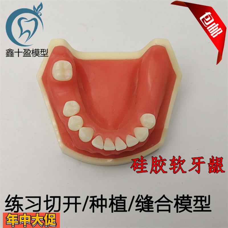 牙科口腔种植练习模型学生练习切开缝合种植模型下颌种植2029下