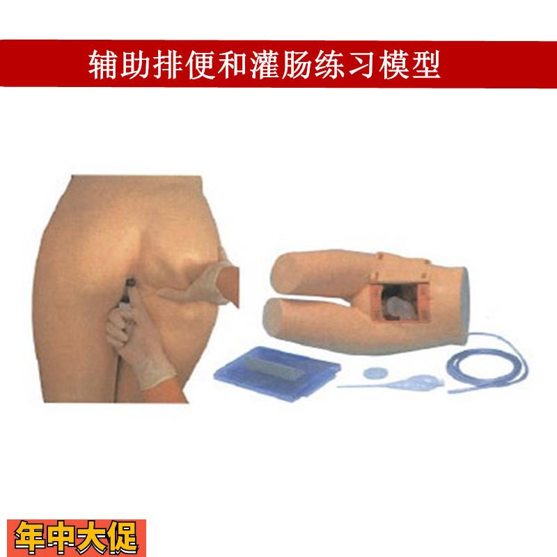 辅助排便和灌肠练习模型医院培训护士训练模型肛门检查模型