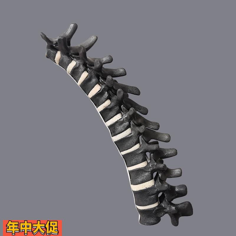 康泰胸椎仿真骨3D显影CT影像扫描三维重建成像骨科术前实训操作用