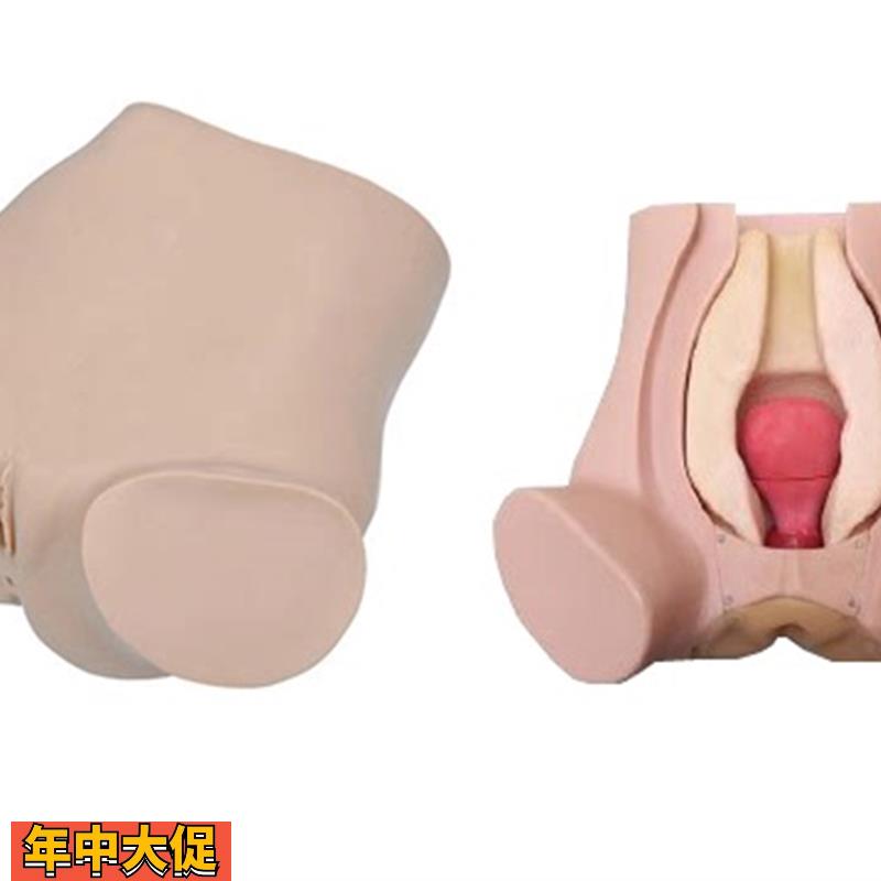诊断性刮宫监测考核指导模型诊断性刮宫妇科检查仿真模型