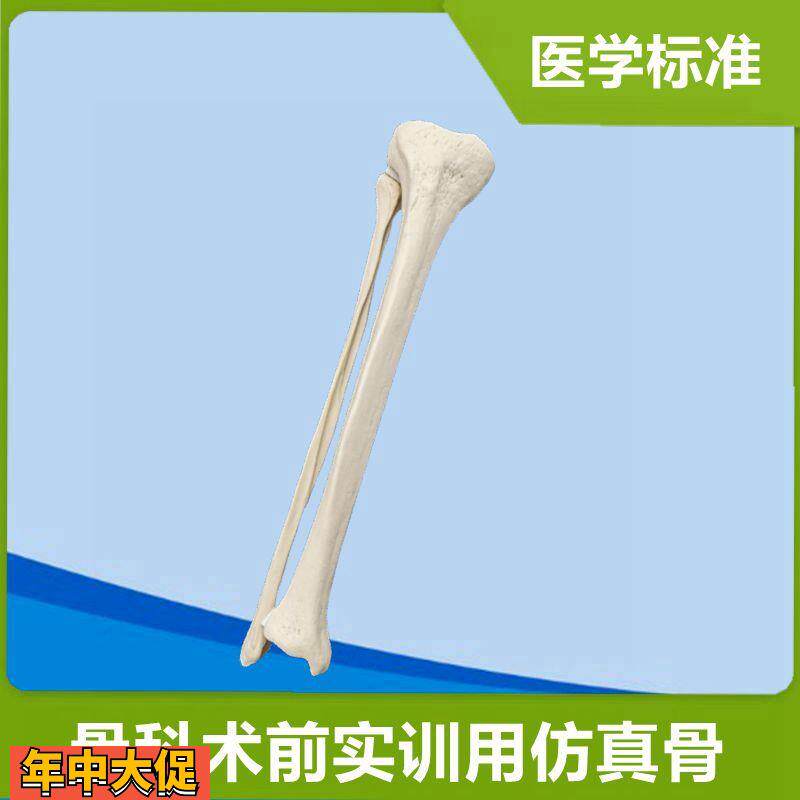 小腿骨模型医用仿真骨术前练习固定骨髓腔松质骨下肢1比1假骨头