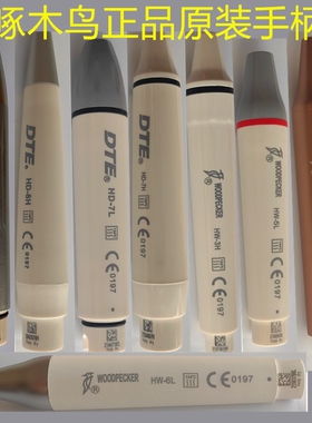 啄木鸟洁牙机手柄原装正品插拔式手柄HW-6/DTE啄木鸟手柄牙科配件
