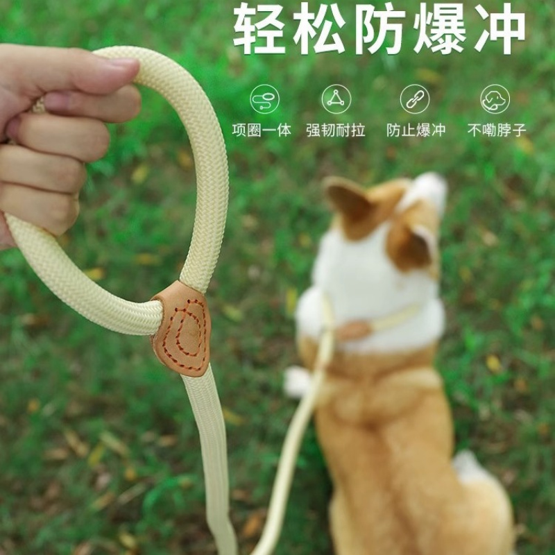 狗狗牵引绳P绳遛狗绳子一体式防