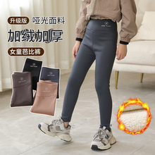 女童加绒打底裤冬款儿童外穿鲨鱼裤2024新款中大童加厚保暖芭比裤