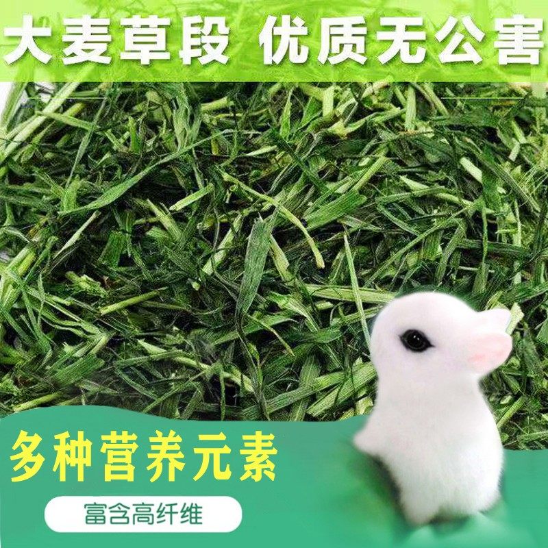 兔子大麦草段食用专用干草料荷兰猪豚鼠宠物口粮饲料幼兔龙猫牧草,宠物/宠物食品及用品,兔兔干草,淘宝优惠券,粉丝福利购,淘宝优惠卷