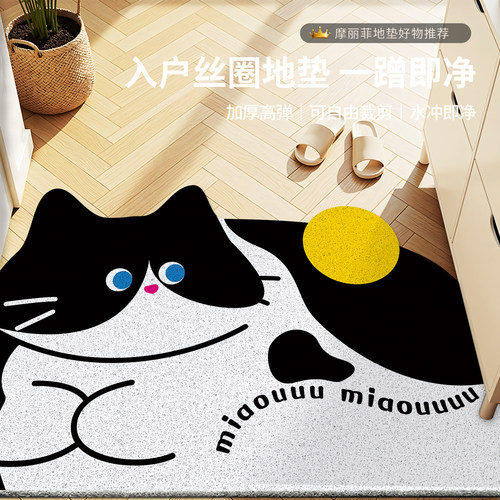 入户玄关丝圈防滑刮泥地垫