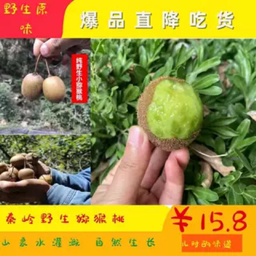 野生猕猴桃陕西秦岭应季新鲜