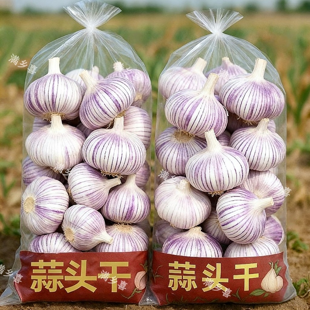 正宗紫皮干大蒜农家大蒜头