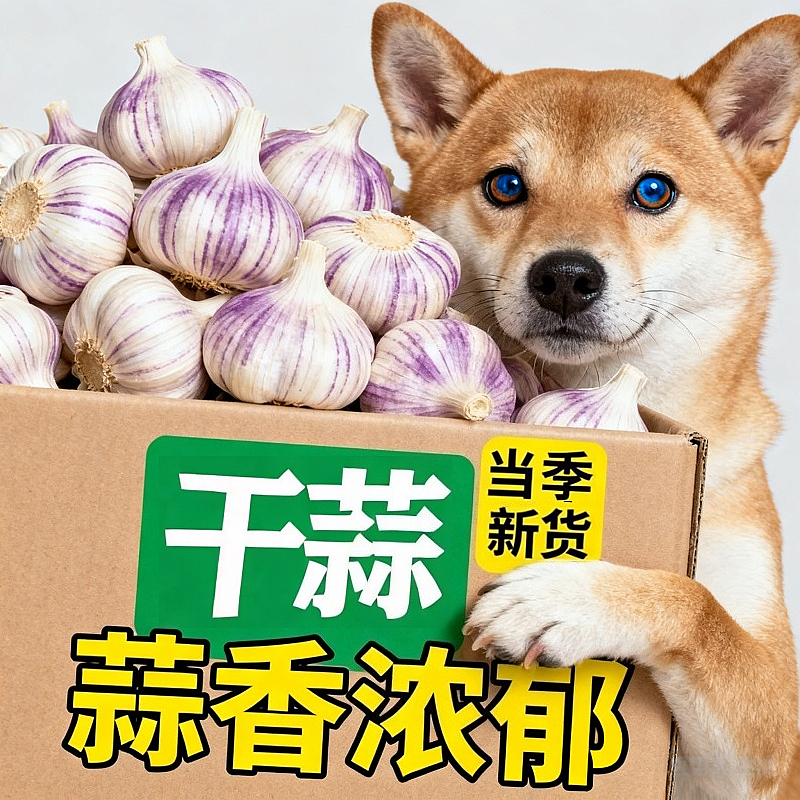 2025大蒜5斤带箱新鲜紫红