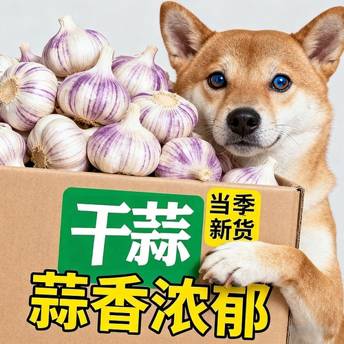 2026大蒜5斤带箱新鲜紫红