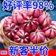 2024年山东新鲜紫皮鲜蒜红皮大蒜头腌制糖蒜醋蒜干蒜 特价 现挖