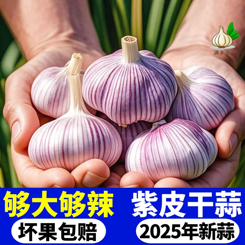 今日大蒜头大蒜头每购