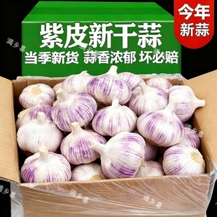 【首单立减】大蒜头批发干蒜紫皮大蒜头干蒜特大优质大蒜子包邮