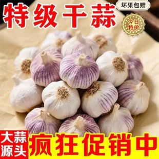 山東新蒜新干大蒜新鮮大蒜頭批發紫皮白皮大蒜批發 萬人搶購
